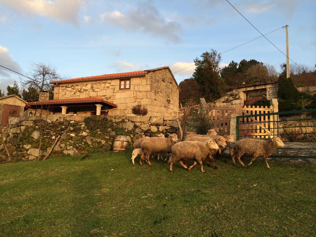 Refugio Dos Cregos Guest House Riba de Mouro Exterior photo