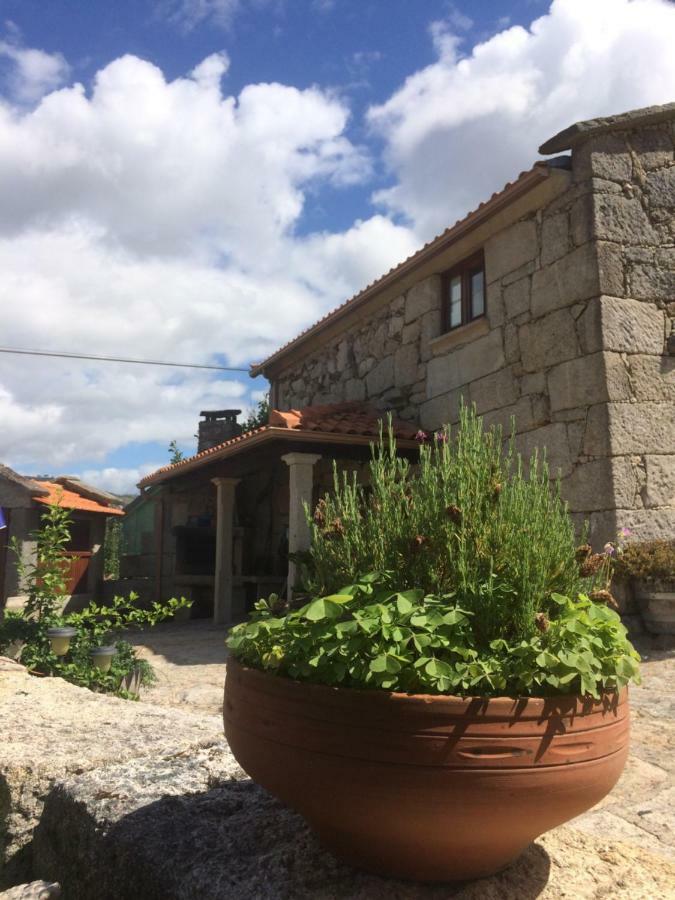 Refugio Dos Cregos Guest House Riba de Mouro Exterior photo
